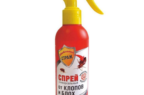 Топ 10 лучших спреев от клопов