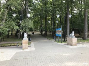 Что посмотреть, чем заняться и куда сходить в Светлогорске, Калининградская область во время отдыха в 2023-2024