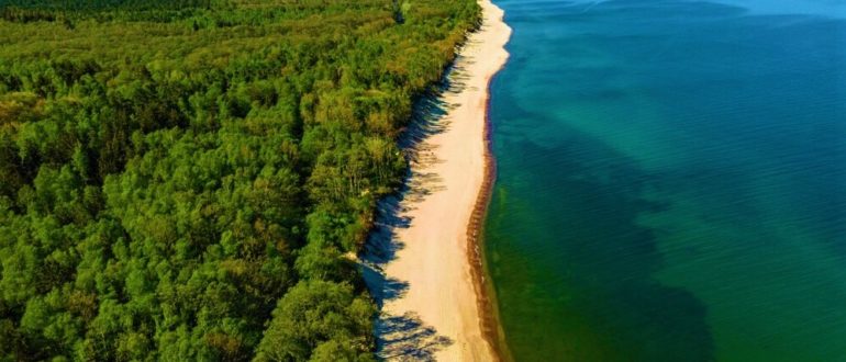 Что посмотреть, чем заняться и куда сходить на Куршской косе во время для отдыха в 2023-2024