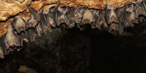 Куда поехать из Бангкока в 2024-лучшие однодневные поездки