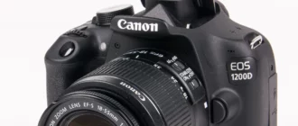 Лучшие фотоаппараты Canon для съемки природы в 2024 году